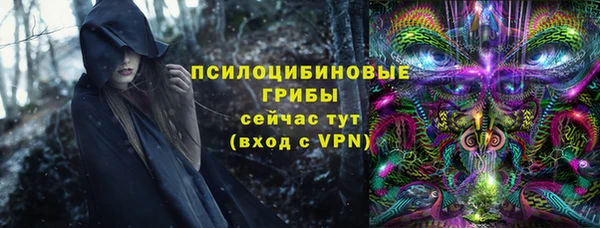 эйфоретик Надым